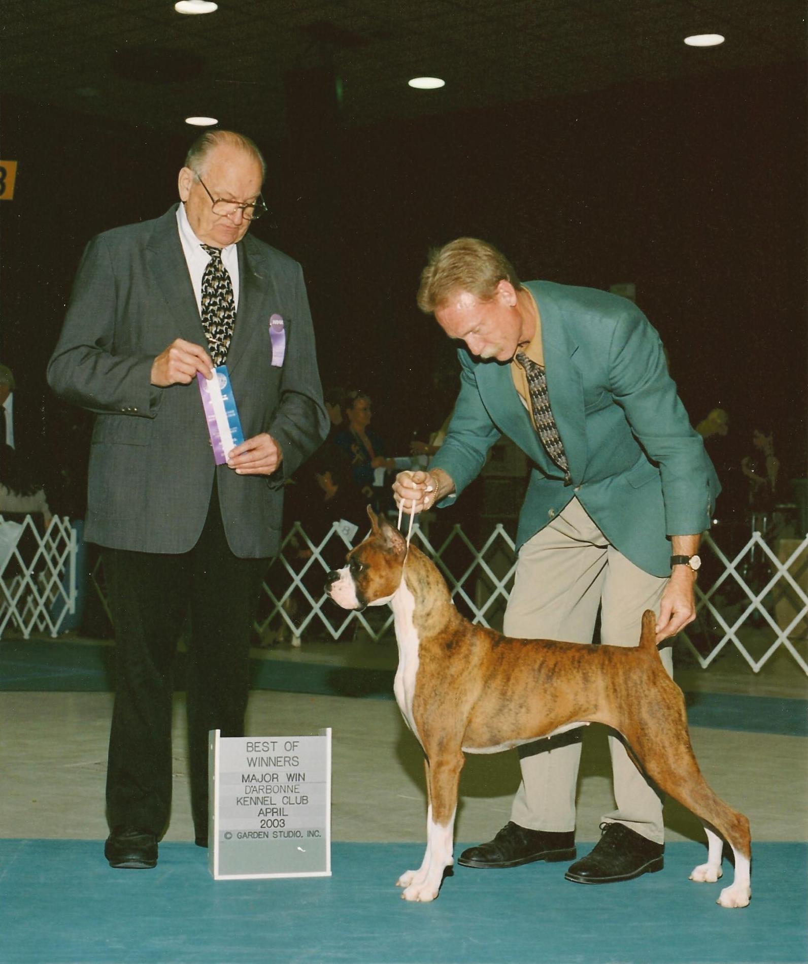 Pic 11
